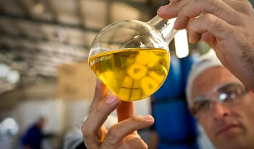 la acides del aceite de oliva